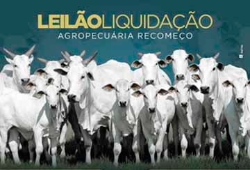 LEILÃO LIQUIDAÇÃO AGROPECUÁRIA RECOMEÇO